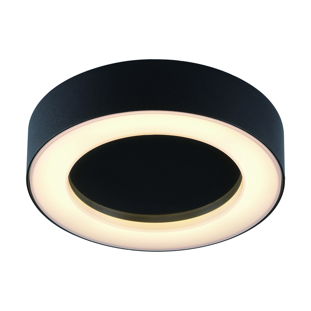 Biard Ambiente Badkamer Plafondlamp Rond Zwart 13W SMD LED IP54