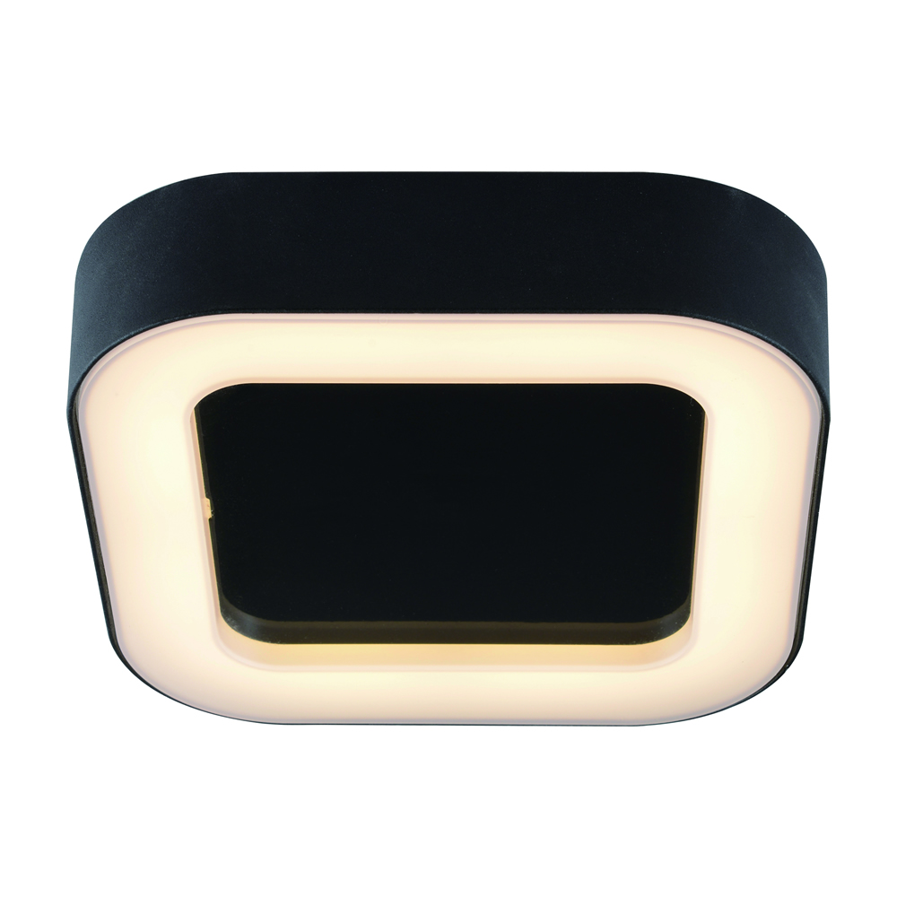 Biard Ambiente Badkamer Plafondlamp Zwart 13W SMD LED IP54