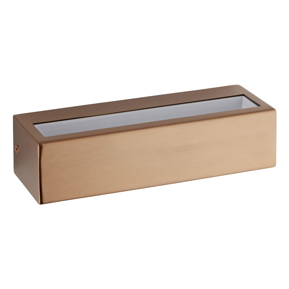 Biard Ternay Koper RVS LED Buitenlamp