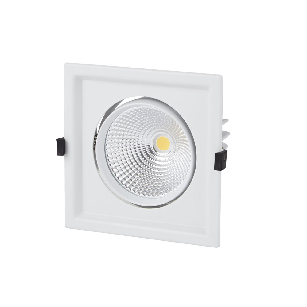 1 x 30W Kantelbare COB LED Inbouwspot met incl Lamp & Driver - Wit