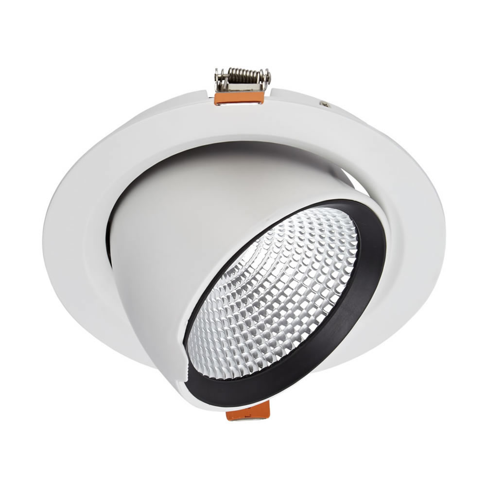 Biard 35W Dimbare & Kantelbare COB LED Inbouwspot incl Lamp & Driver - Wit
