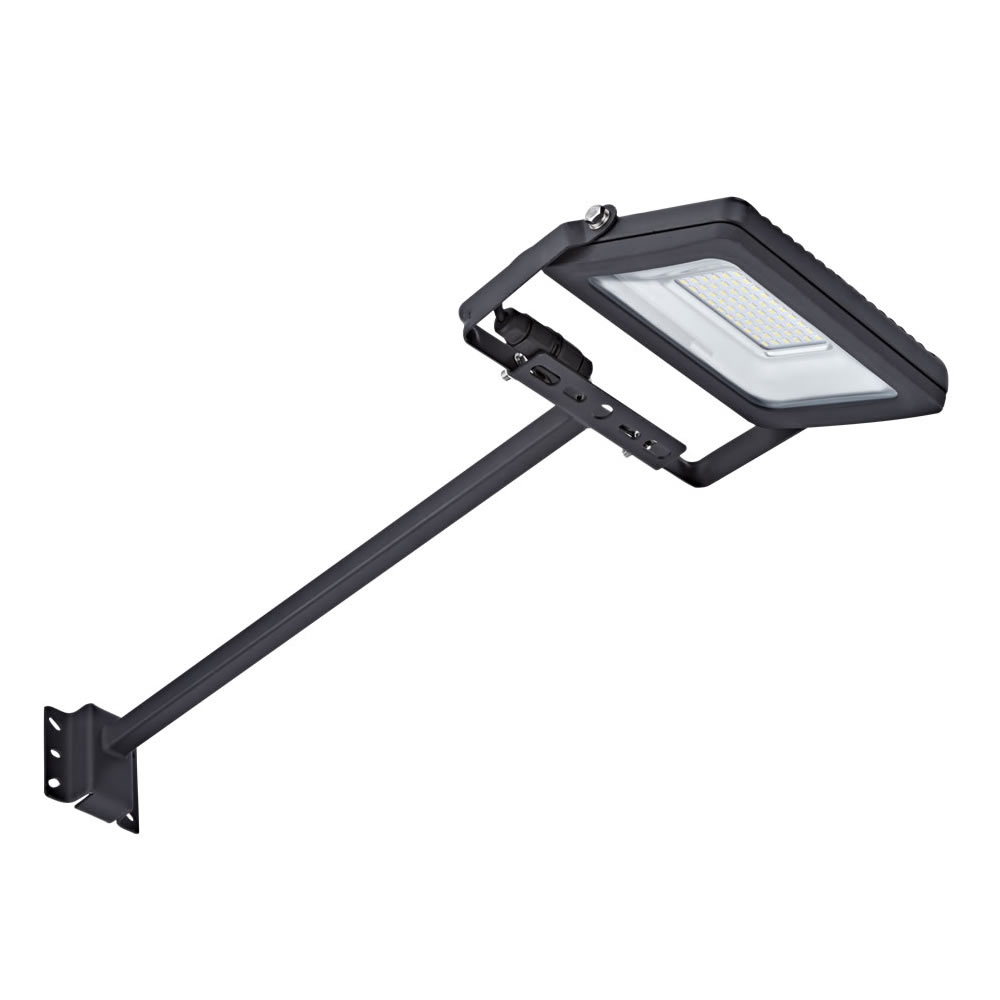 Biard 30W LED Breedstraler en Arm 50cm