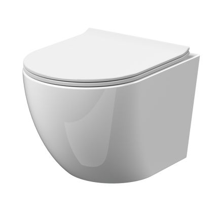 Hangend Toilet Modern Rond met Soft-Close Toiletzitting