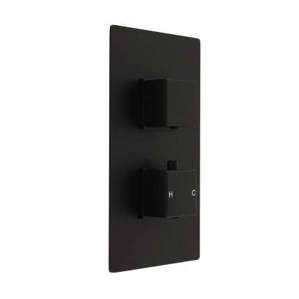 Douchekraan Thermostatisch 2-Weg met Omstel - Zwart | Preto