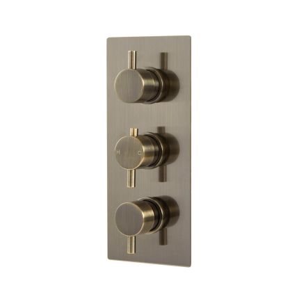 Douchekraan Thermostatisch Inbouw 2-Weg Geborsteld Messing | Clarus