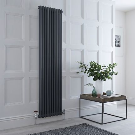 Kolomradiator Verticaal 2-Koloms Klassiek Antraciet 180cm | Windsor