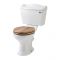 Duoblok Toilet en Wastafel 60cm met Zuil Klassiek Wit | Ryther