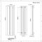 Design Radiator Verticaal Aluminium Middenaansluiting Antraciet 160cm x 37,5cm 982 Watt | Aurora