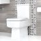 Duoblok Keramisch Toilet Incl. Zachtsluitende WC-Bril | Sandford