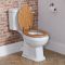Duoblok Toilet Klassiek op Comforthoogte met Stortbak, Eiken Toiletzitting en Geborsteld Goud Spoelhendel | Richmond