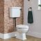 Toilet op Comforthoogte met Laaghangend Reservoir Klassiek met Zwarte Spoelkit en Witte Toiletzitting | Richmond