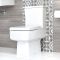 Duoblok Toilet en Wastafel 60cm met Zuil Wit | Sandford