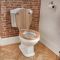 Duoblok Toilet Keramisch Klassiek Wit en Warm Eiken WC-Bril | Windsor