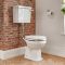 Toilet Halfhoog met WC-Bril Klassiek Wit | Richmond
