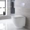 Toilet Hangend Randloos Keramisch Wit met Stortbak en Hoog Muurframe | Keuze Spoelknop | Ashbury