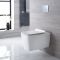 Toilet Hangend Keramisch Vierkant Wit met Stortbak en Hoog Muurframe | Keuze Spoelknop | Sandford