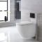 Ashbury Hangend Keramiek Toilet incl Inbouwreservoir ( Small) en Keuze Spoelknop