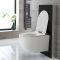 Toilet Randloos Wit met WC-bril en Stortbak met Ombouw Zwart | Otterton