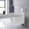 Hangend Toilet Randloos Wit met Kort Muurframe | Keuze van Spoelknop | Otterton