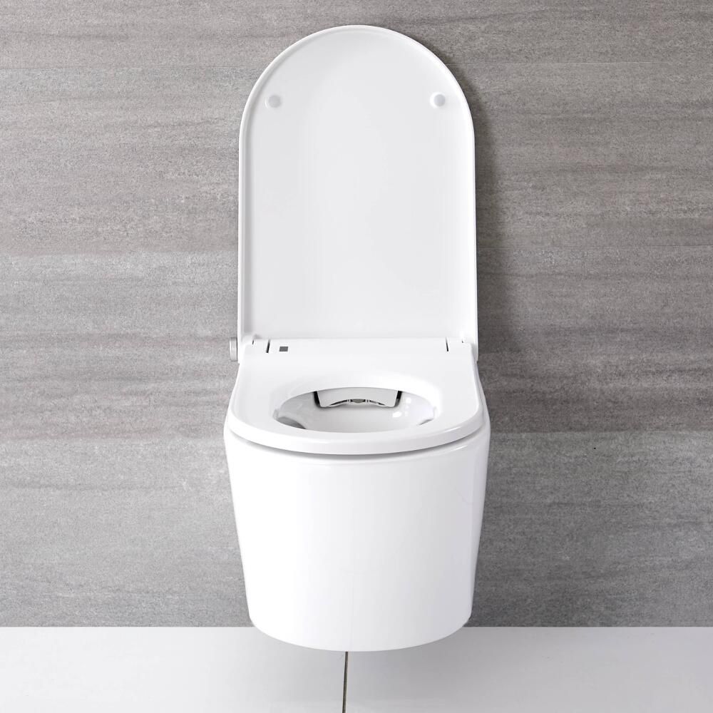 Japans Toilet Hangend | Hirayu