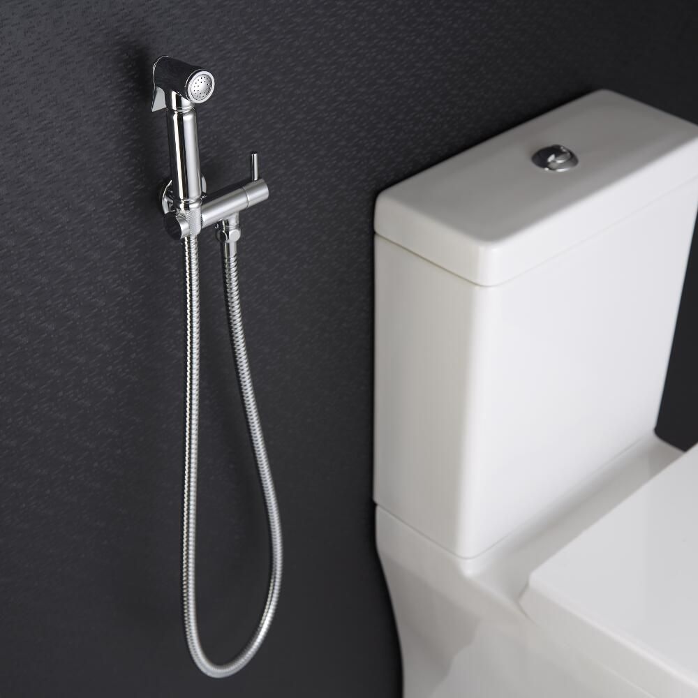 Bidet Sproeier Modern Chromen | Como