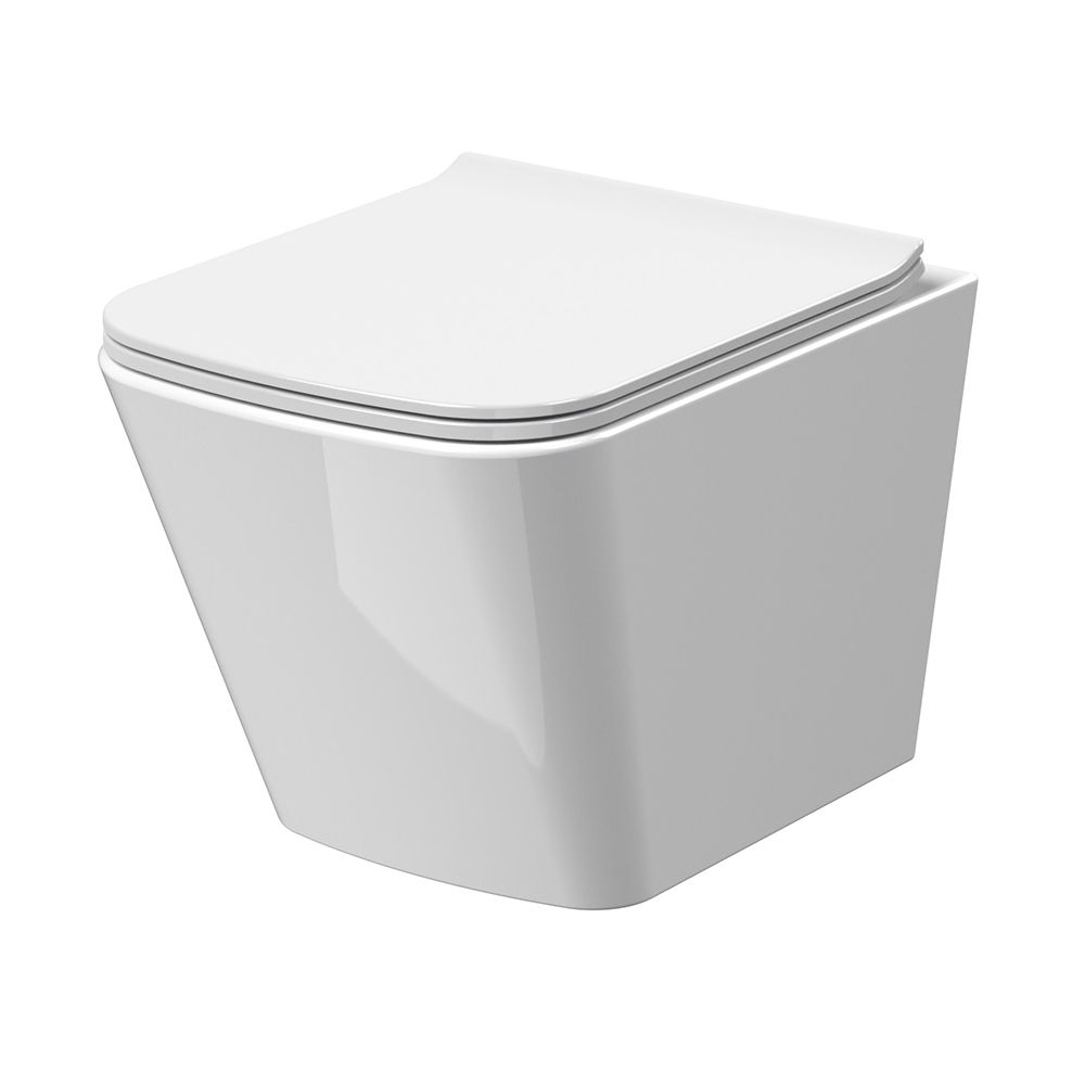 Hangend Toilet Modern met Soft-Close Toiletzitting