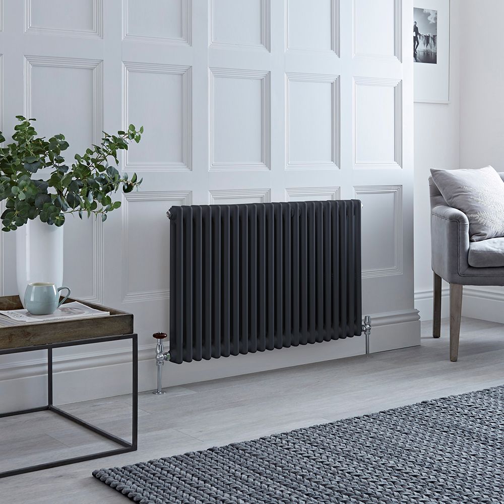 Kolomradiator Horizontaal 2-Koloms Klassiek Antraciet | Windsor