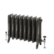 Gietijzeren Radiator 2 Kolommen 95cm Hoog Gepolijste Afwerking | Kies de Breedte | Charlotte