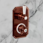 Hudson Reed Elizabeth - Douchekraan Thermostatisch Inbouw 2-Weg Klassiek met Omstel - Satijn Koper