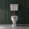 Toilet met Laaghangend Reservoir | Keuze Afwerking Toiletzitting, Valpijp en Spoelhendel | Richmond