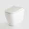 Japans Toilet Staand | Hirayu