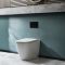 Japans Toilet Staand | Hirayu
