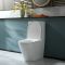 Duoblok Toilet Modern met Soft-Close Toiletzitting | Keuze Afwerking Spoelknop | Colby