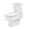 Duoblok Toilet Modern met Soft-Close Toiletzitting | Keuze Afwerking Spoelknop | Sandford