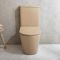 Duoblok Toilet Modern Rond met Soft-Close Toiletzitting | Keuze Afwerking | Elements