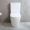 Duoblok Toilet Modern Rond met Soft-Close Toiletzitting | Keuze Afwerking | Elements