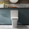 Duoblok Toilet Modern met Soft-Close Toiletzitting | Keuze Afwerking Spoelknop | Avenham
