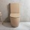 Duoblok Toilet Modern met Soft-Close Toiletzitting | Keuze Afwerking | Elements