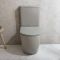 Duoblok Toilet Modern met Soft-Close Toiletzitting | Keuze Afwerking | Elements