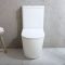 Duoblok Toilet Modern met Soft-Close Toiletzitting | Keuze Afwerking | Elements