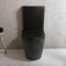Duoblok Toilet Modern met Soft-Close Toiletzitting | Keuze Afwerking | Elements