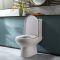 Duoblok Toilet - Achter Onder (AO) Aansluiting - Modern met Soft-Close Toiletzitting | Keuze Afwerking Spoelknop | Covelly