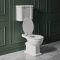 Toilet met Laaghangend Reservoir en Soft-Close Toiletzittng - Klassiek| Elizabeth