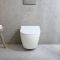 Hangend Toilet Modern met Soft-Close Toiletzitting | Keuze Afwerking | Elements