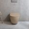 Hangend Toilet Modern met Soft-Close Toiletzitting | Keuze Afwerking | Elements
