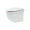 Hangend Toilet Modern met Soft-Close Toiletzitting | Sutton