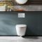 Hangend Toilet Modern met Soft-Close Toiletzitting | Sutton