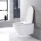 Japans Toilet Hangend | Hirayu