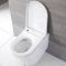 Japans Toilet Hangend | Hirayu