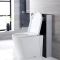 Staand Toilet | Alswear Stortbak Ombouw Dubbele Spoelknop 3/6 Liter Zwart 50cm | Saru